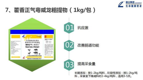 大力推進一體化形象服務體系建設，推動高山中獸藥向更高水平發展——信息系統運行維護服務篇